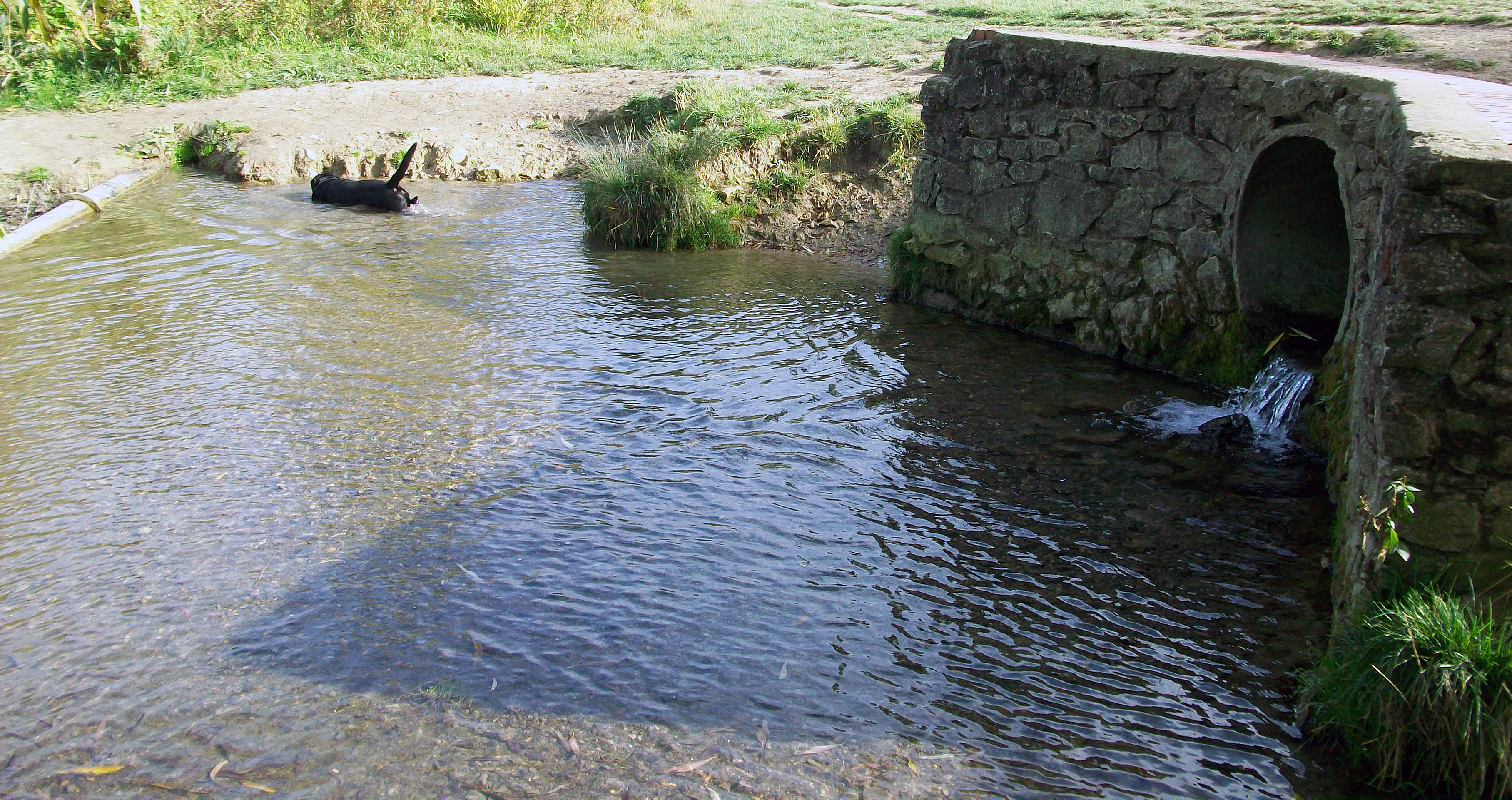 Water from Pipe