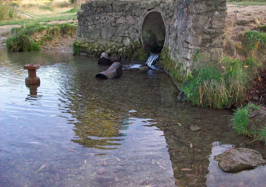 Rubbish in Water