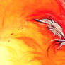 Rising Sun