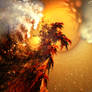 Rising Fire