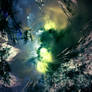 Reckless Descent