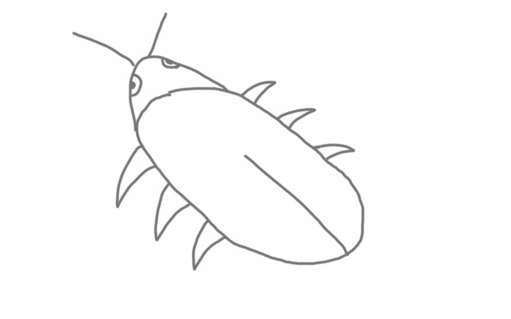 Radroach Drawring radroach base by killersandwich09 on DeviantArt