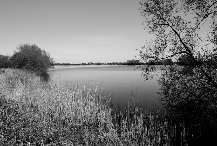 Fen Lake 03