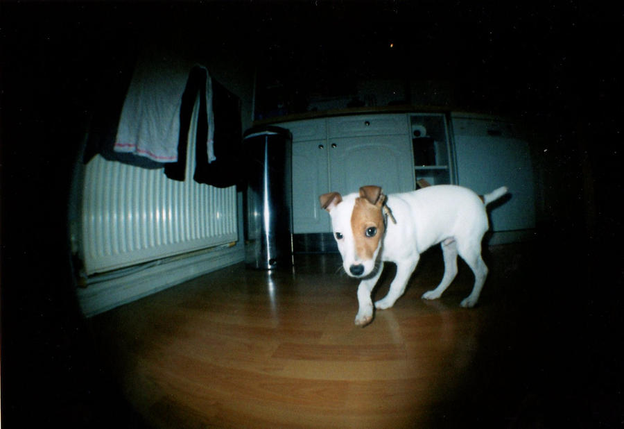 Loco fisheye 02