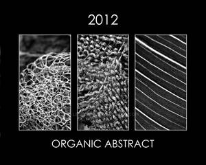 2012 Calendar - Organic Abstract bw