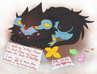 Pokemon Shaming: Luxray