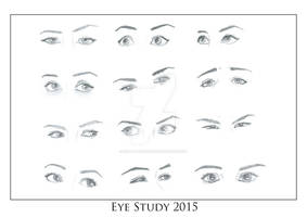 Eye Study