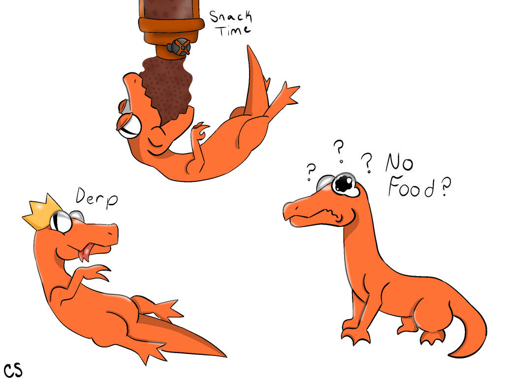 Orange Reference sheet! by Charlie-X-Bear on DeviantArt