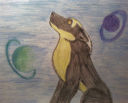 Soul Of Freedom User Profile Deviantart Soul Of Freedom User Profile Deviantart