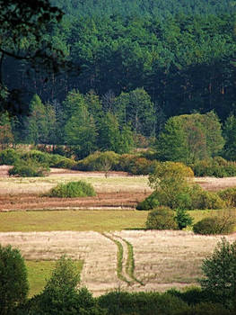 Chernihiv region.  Sedniv