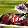 racehorse