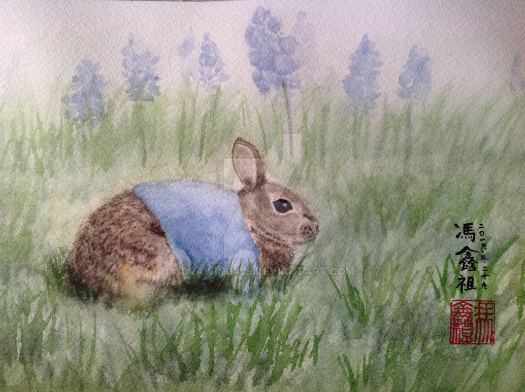 Peter Rabbit by drawing425 on DeviantArt