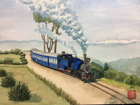 Darjeeling Himalayan Railway B class 