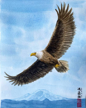 Bald Eagle Soaring Over Mount Rainier 