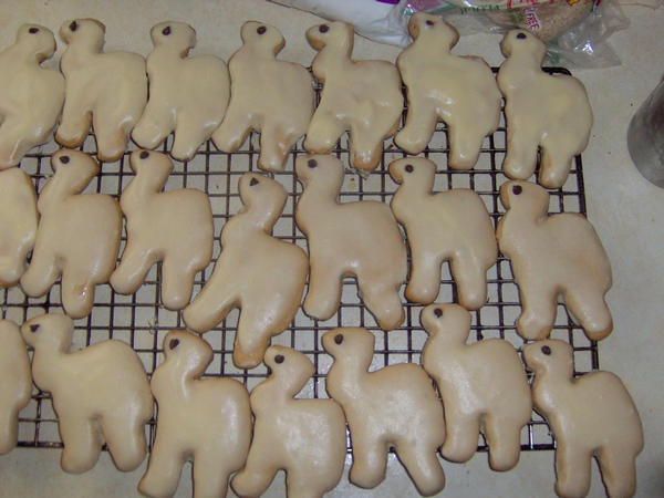 Camel Cookies