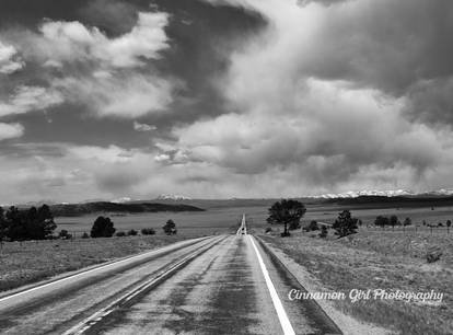 Along The Highway, Park County, CO, 2021