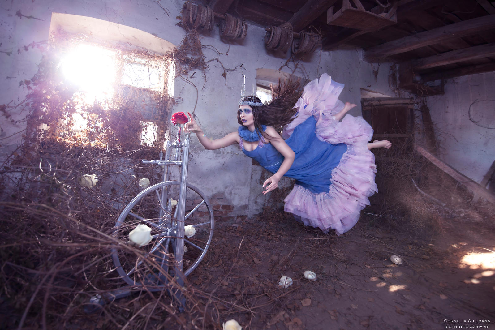 The Irreparable Curiosity - briar rose