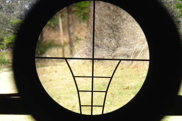 Crossbow Scope