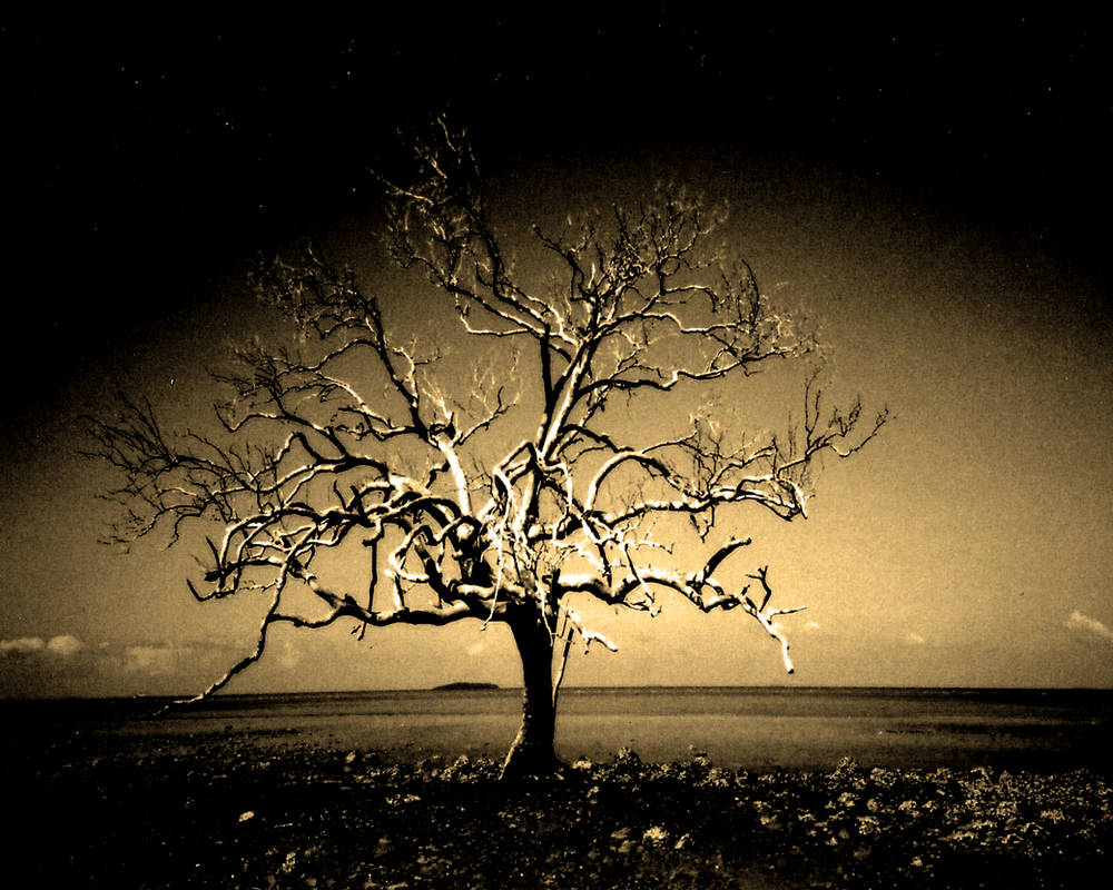 Dark Tree