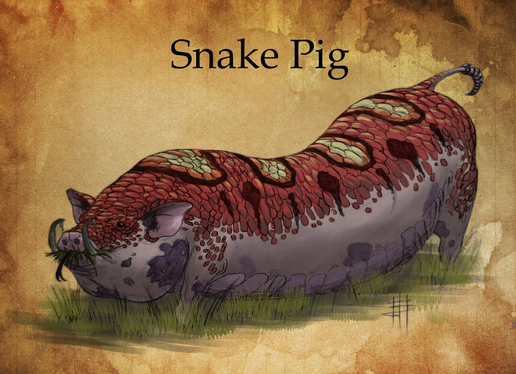 Snake Python Pig Snake Pig (Creatuanary) by Gonzalo6886 on DeviantArt