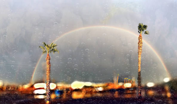 Rainy day rainbow 