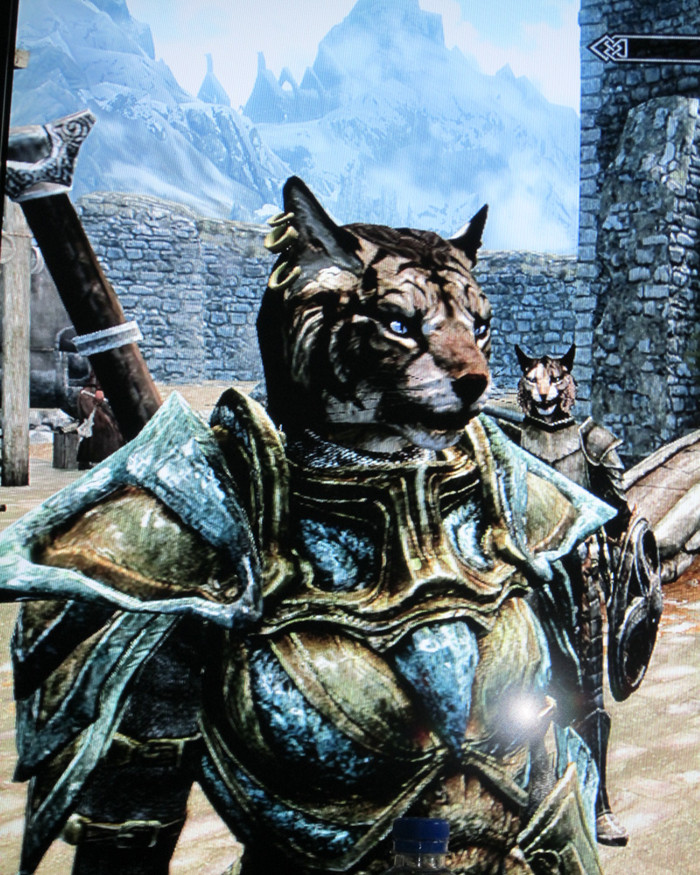 Riyunna the Khajit