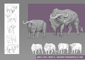 Buffalo Sketching