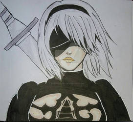 Nier 2b