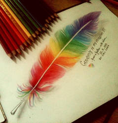 Colorful Feather