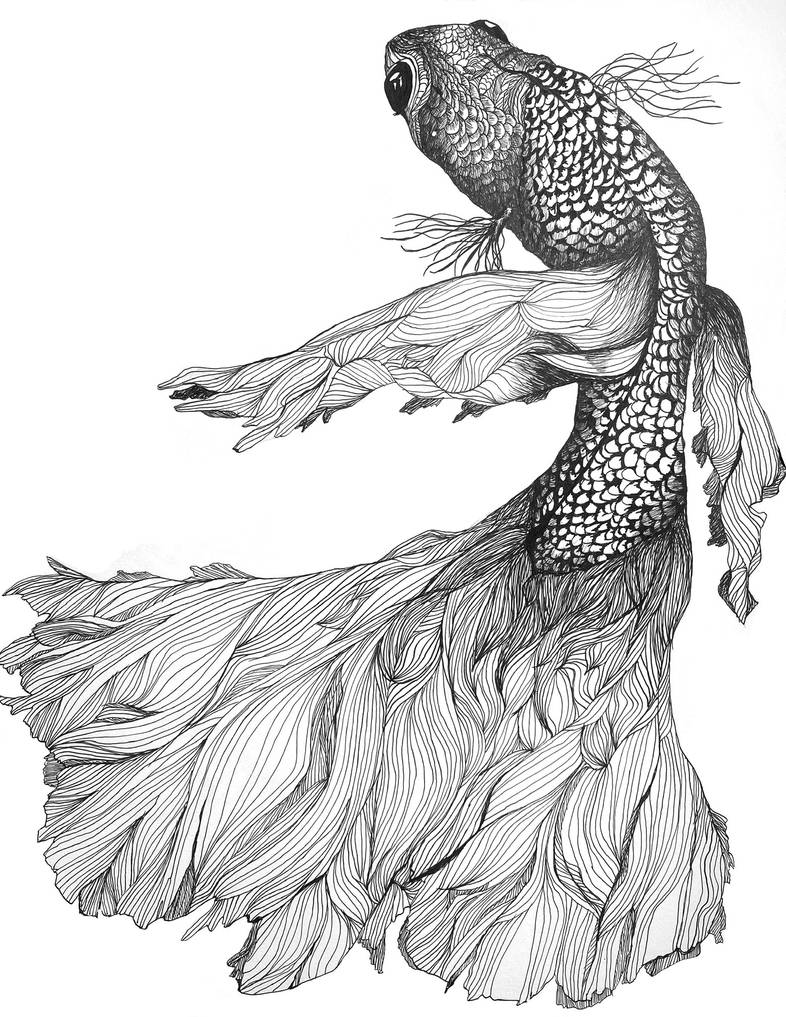 Koi Fish ink drawing by tamsinhemingway on DeviantArt