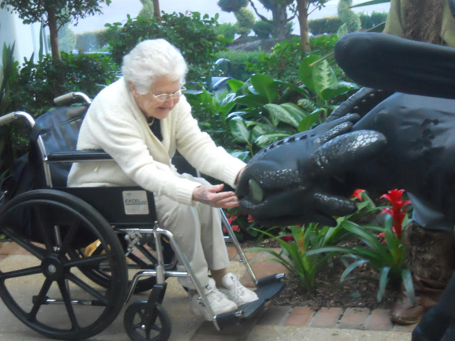 Toothless in a Kodak Moment