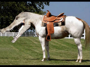 Crocahorse