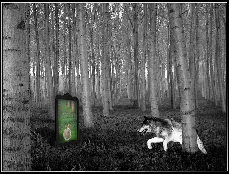 wolf vs rabbit by kily17ro on DeviantArt