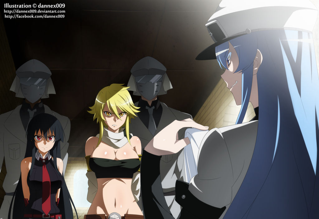 Akame ga Kill Shippings by SilverBuller on DeviantArt