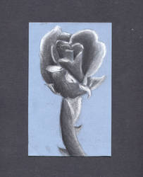 charcoal rose