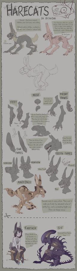 |Original Species| Harecat Reference Sheet