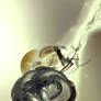 creation_ second day