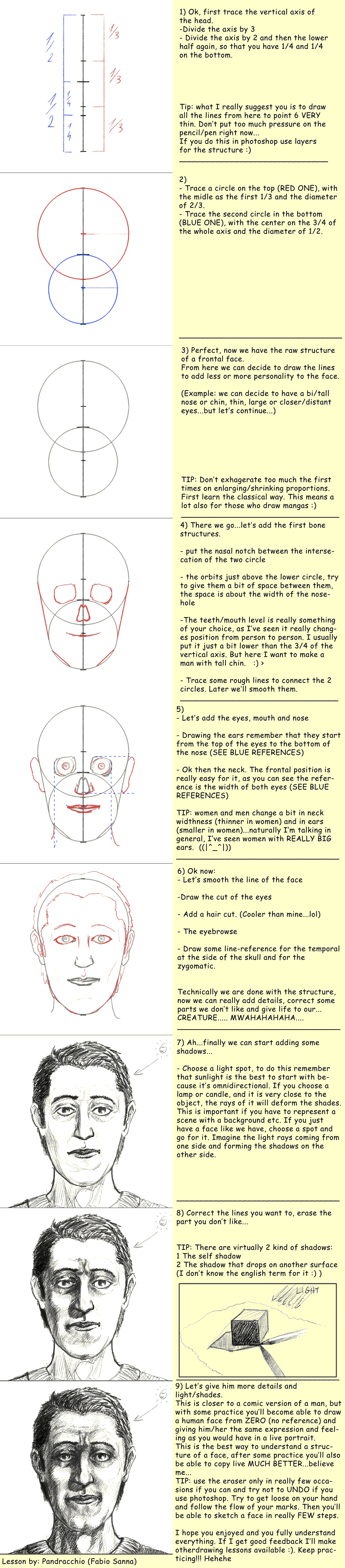 Anatomy: Head frontview