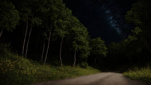 Night walk trough the forest