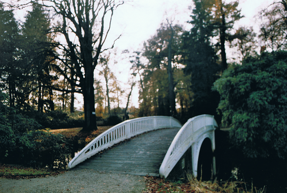 Autumn at Soestdijk