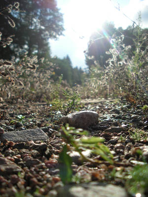 Path by magnifEyes Path by magnifEyes