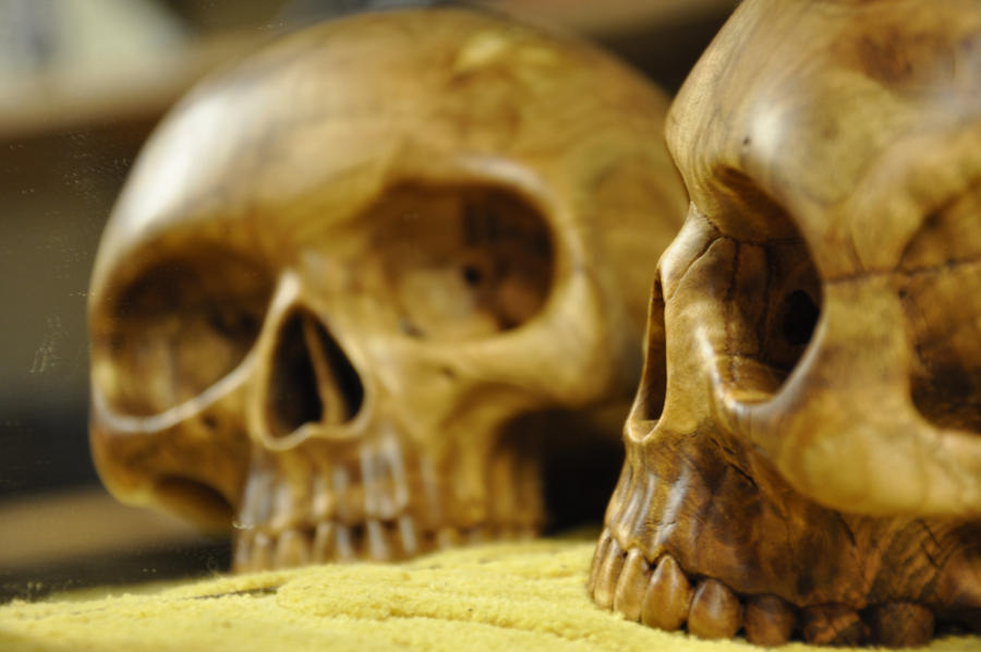 memento mori by magnifEyes memento mori by magnifEyes