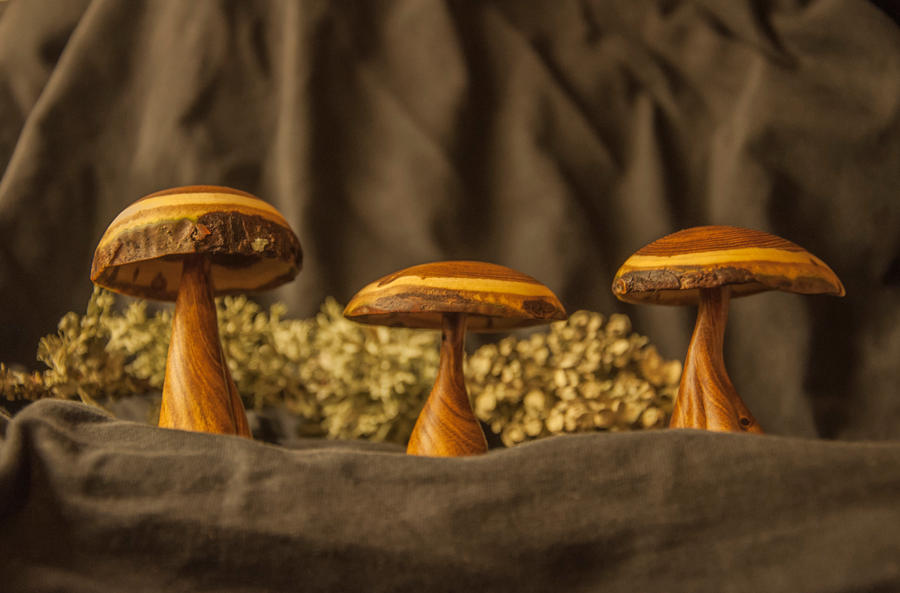 Laburnum Mushrooms by magnifEyes Laburnum Mushrooms by magnifEyes
