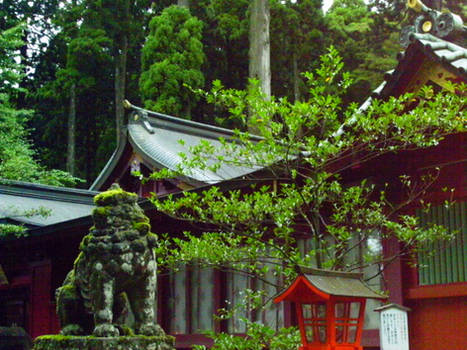 Mossy Japanese Buddhist Temple Stone Lion