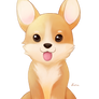 Corgi