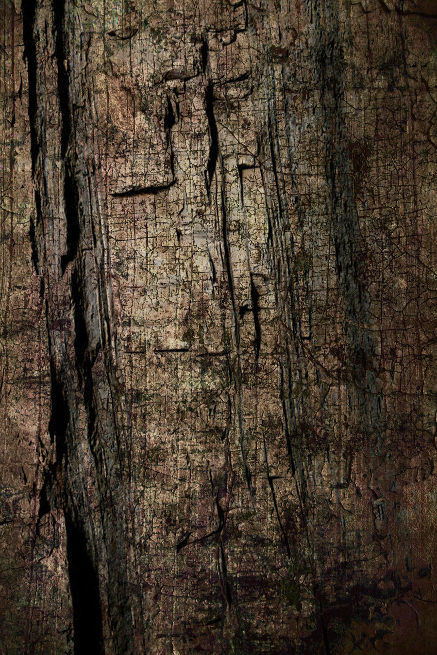 Tree Bark-Texture