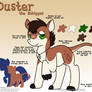 Duster Ref (New Ponysona)