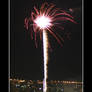 Firework Palmtree