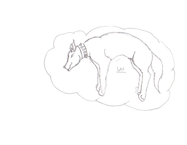 Floating Wolf by willow-larson on DeviantArt