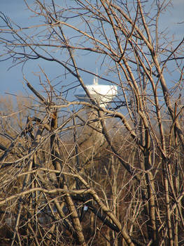 Water Tower from my Window